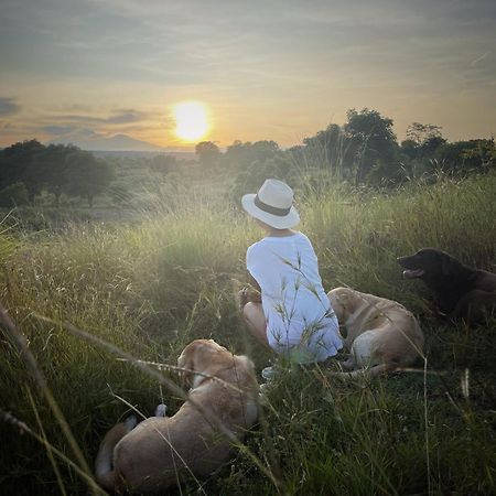วิลล่า อัลบา บาหลี ไดฟ์ รีสอร์ท ทูลัมเบน ภายนอก รูปภาพ